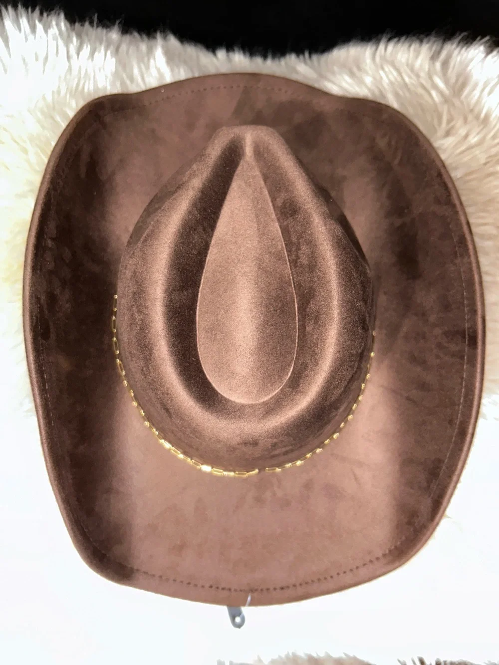 Anthropologie Brown Cowboy Hat with Gold Accent